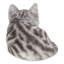 Statue de chaton tigré endormi-209440240