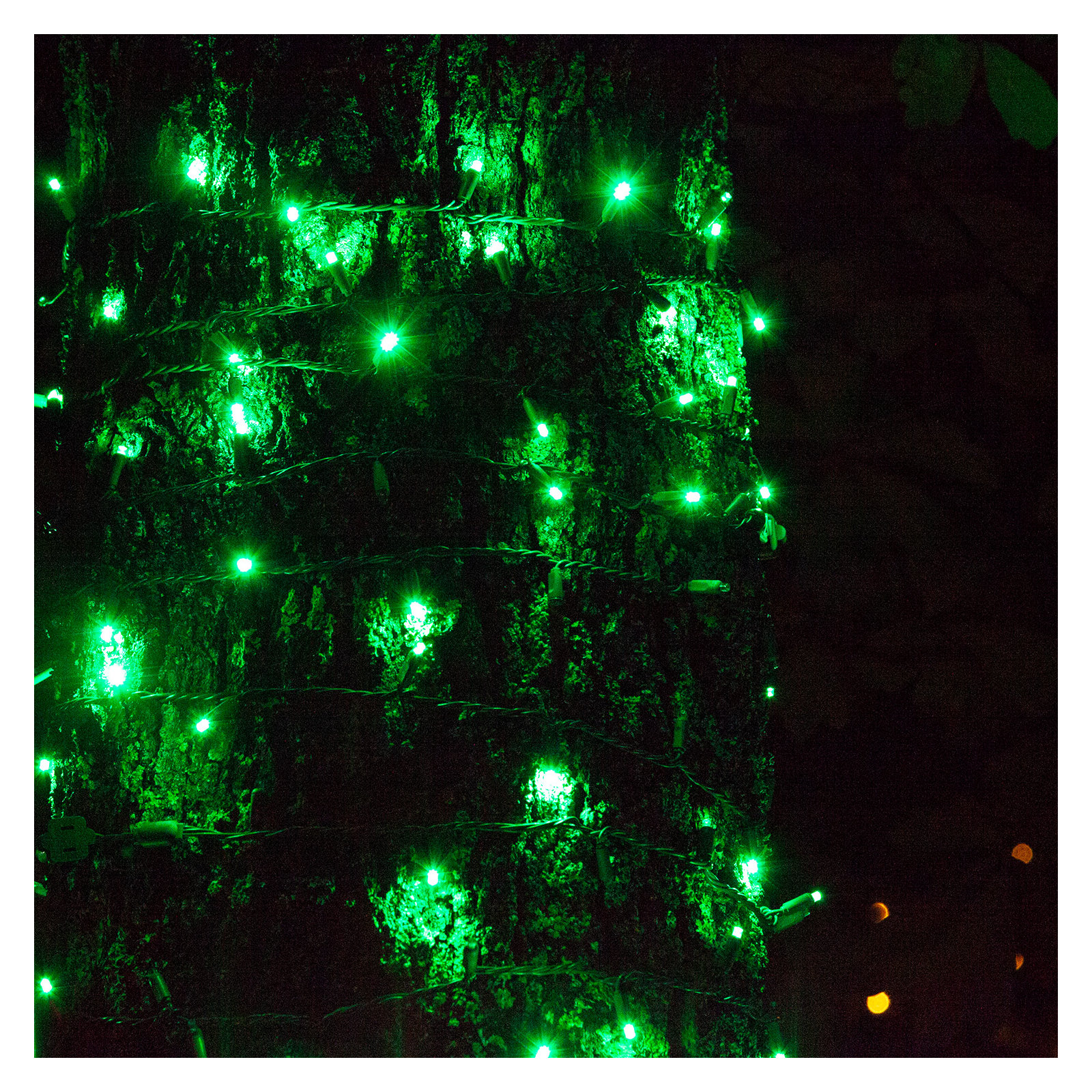 204" SoftTwinkle LED String Lights, Green