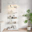 Display Cabinet-1569857844