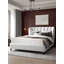 Classic 9.5'' Medium Latex Mattress and Box Spring Set-61835268