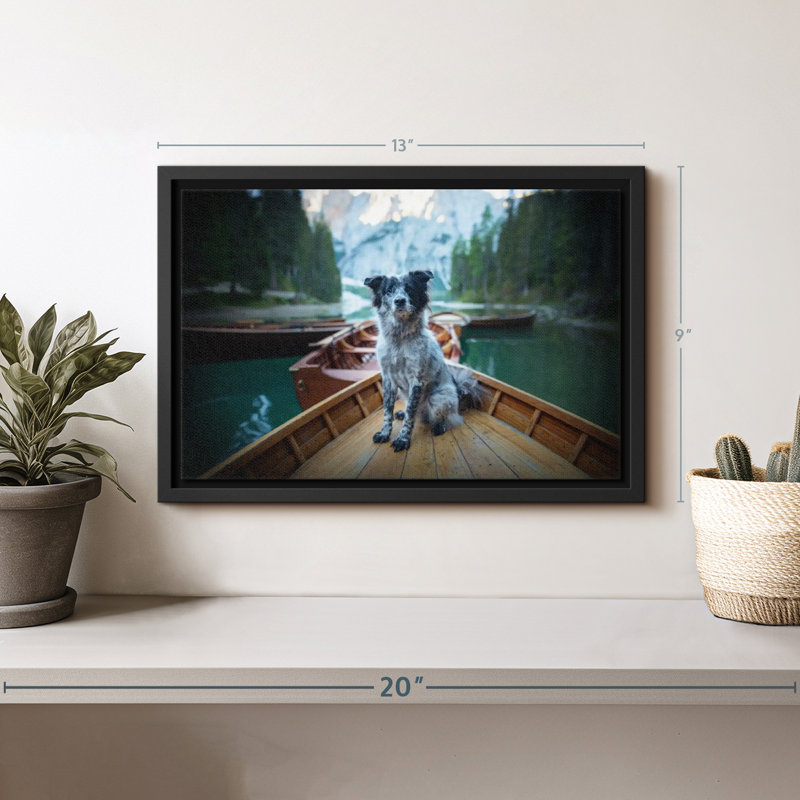 Border collie sur bateau, reproduction sur toile, H 9 po x l 13 po