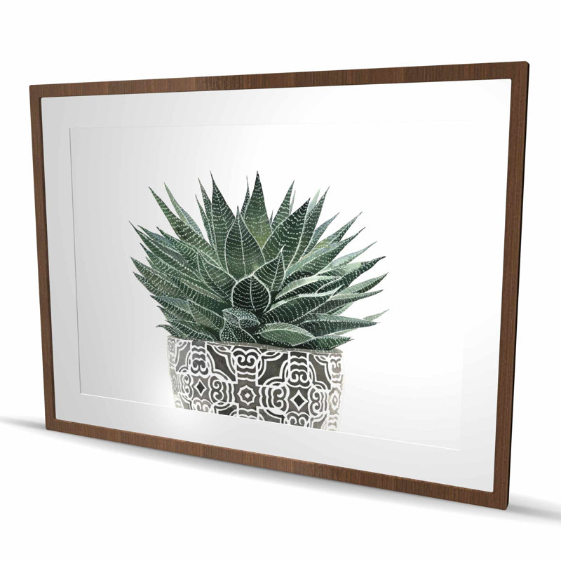 Zèbre plante grasse - chambre à coucher botanique, impression encadrée