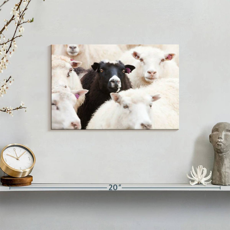 Brampt Standout Black Sheep, 8" H x 12" W
