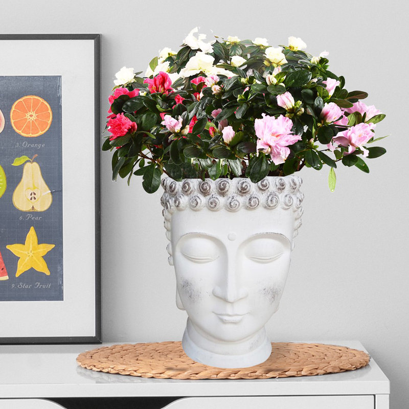 Buddha Head Small Planter, Concrete Effect Indoor Plant Pot, Face Flower Pot, Decorative Pot Cover, White