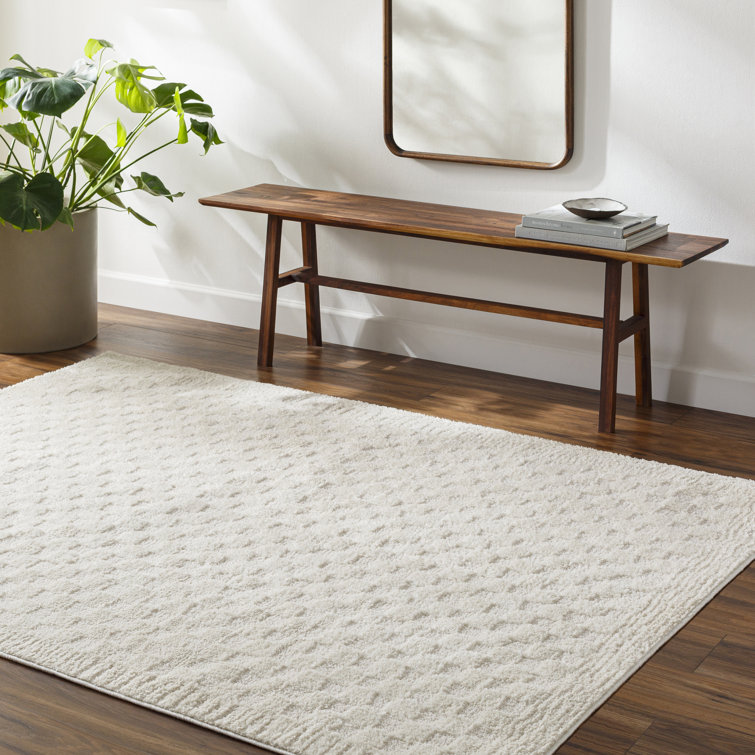 Catosha Machine Woven Polyester Area Rug in Ivory