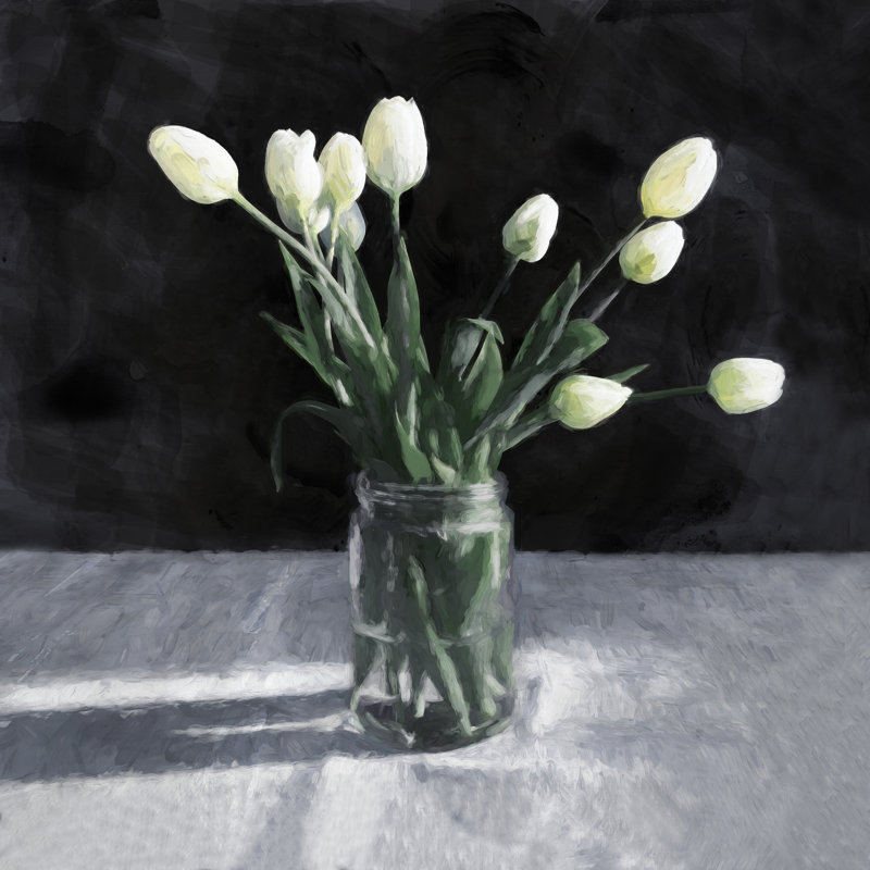 Reproduction d’art sur toile tendue, "tulipes blanches sur fond noir", H 12 po x l 12 po