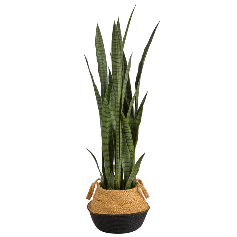 Plante artificielle 46 po en pot, Noir