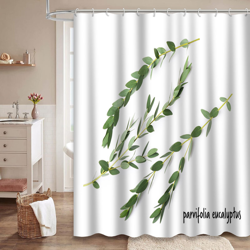 Rideau de douche avec 12 crochets Eucalyptus, L 72 po x l 72 po