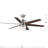 Carrollwood 56'' Ceiling Fan with LED Lights-102873429