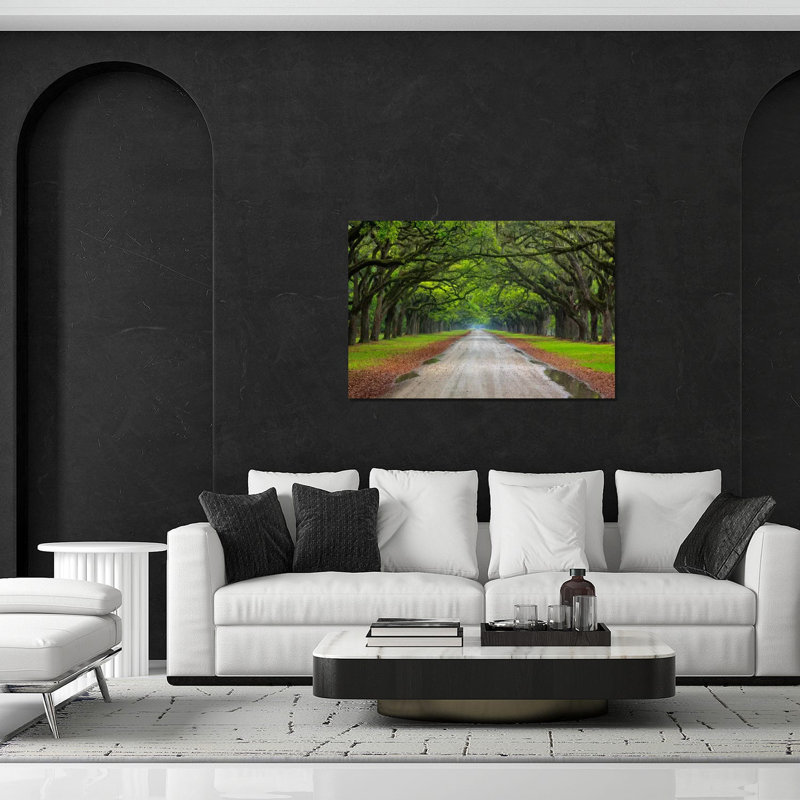Oak Avenue, Wormsloe Plantation, Savannah, Georgia, USA par Joanne Wells - Photographie sans cadre