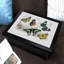 Breakfast Tray