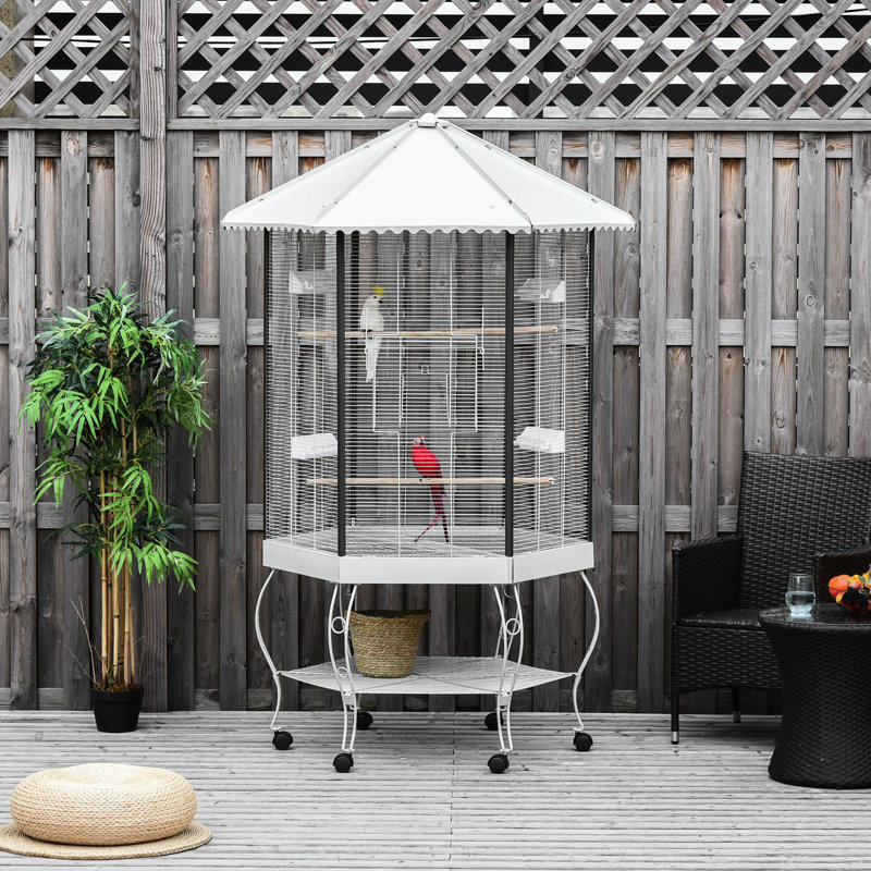 Cage à oiseaux de 77 po, spacieuse et avec rangement conçu pour les oiseaux, rangement intérieur en acier, qualité