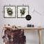 Ensemble de cadres flottants 2 pièces Rustic Vintage Bird Nids, design par Susan Arnot-1144068314-1144068327