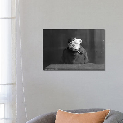 Bulldog, C1905 - Wrapped Canvas Print