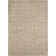 Benson Oriental Indoor Rug