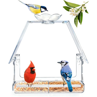 Window Bird Feeder with 2 Suction Cups