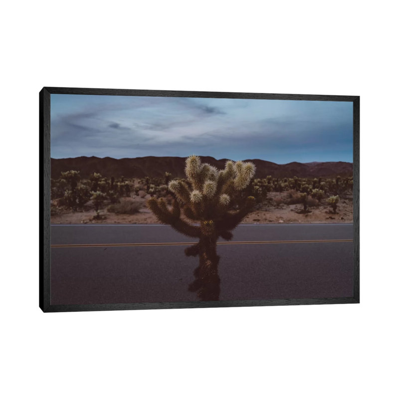 Cholla Cactus Garden XVI by Bethany Young - Print on Canvas, Black Framed, 45.72cm H x 66.04cm W x 3.81cm D