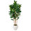 Artificial Fiddle Leaf Fig Tree With Real Wood Trunk And Large White Planter, Faux Fiddle Leaf Fig Plant For Living Room Office Home Decor