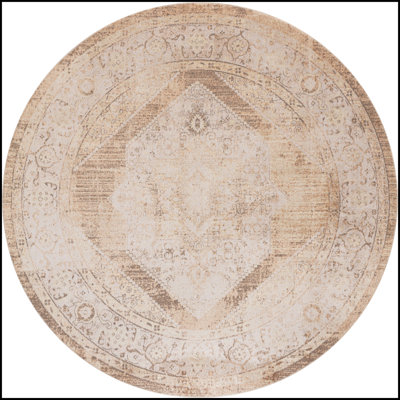 Haydel Oriental Machine Washable Power Loom Polyester Area Rug in Beige