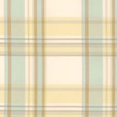 Birmingham Silk Fabric
