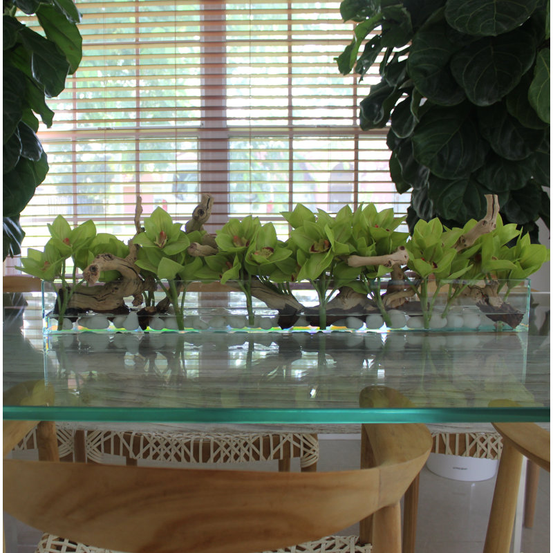 Driftwood Cymbidium Orchids Centerpiece in Glass Planter, Green, 8" H x 24" W x 6" D