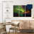 Alvord Aurora Borealis Vision-107932415