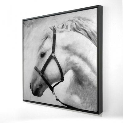 "Darius le cheval"