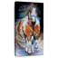 Cheval de guerre indien-1685112364