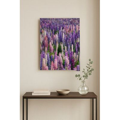 Champ de lupins en fleurs — Portrait en métal