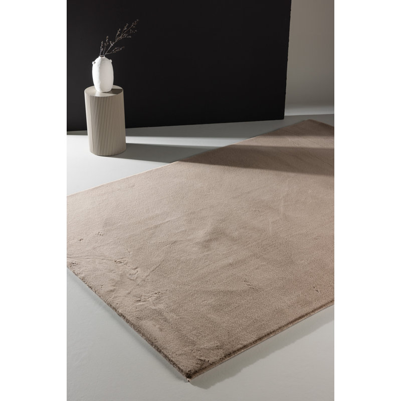 Anndria 200cm X 290cm Area Rug
