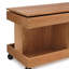 Petite table basse à roulettes-1814898074