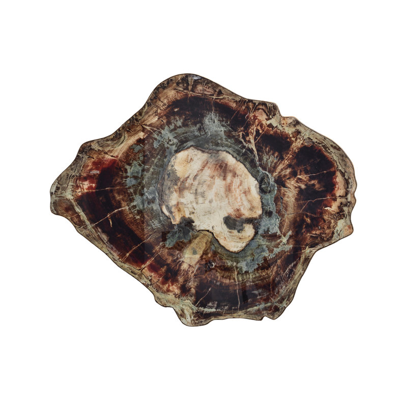 Fossil Placemat