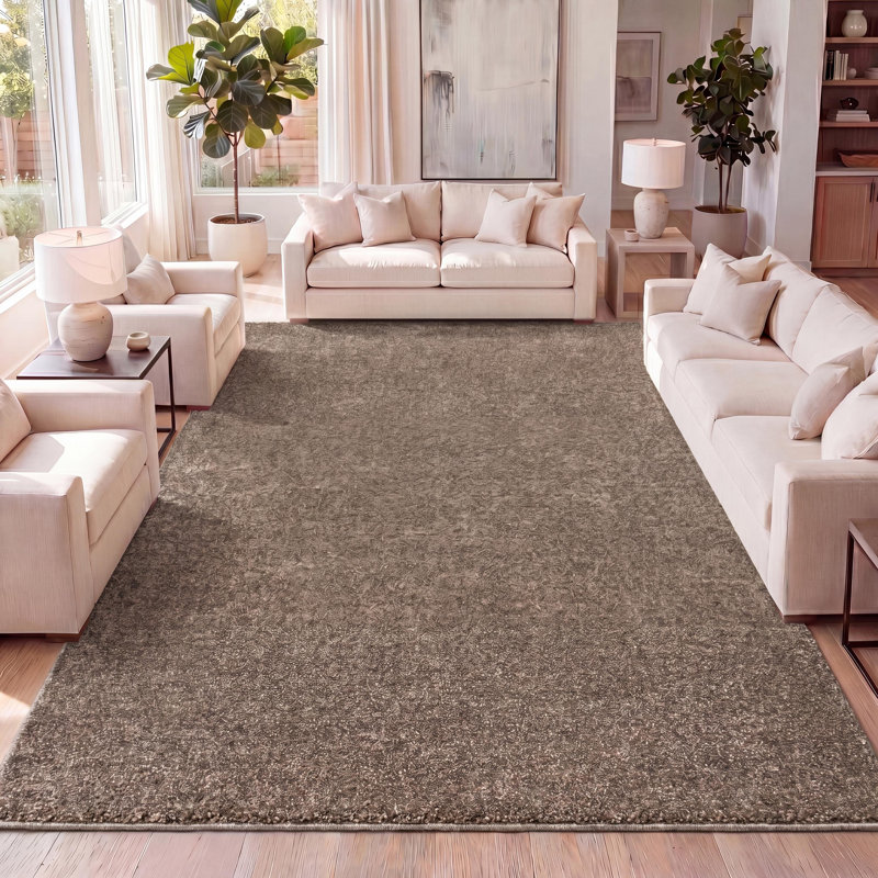 Tapis brun Antto, Rectangulaire 8 pi x 10 pi