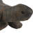 Gospodarczyk Tortoise Statue