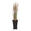 79 po Faux Pampas en pot