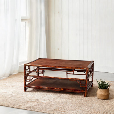 Table basse avec tablette de rangement ouverte, rotin et bois d'ingénierie, finition simili tortue brune aux tons de bois, plateau rectangulaire de 41,9 L