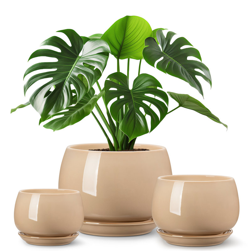 Ceramic Pot Planter, 14.7cm H x 12cm W x 5cm D, Brown