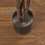 129.54cm Faux Palm Tree in Pot