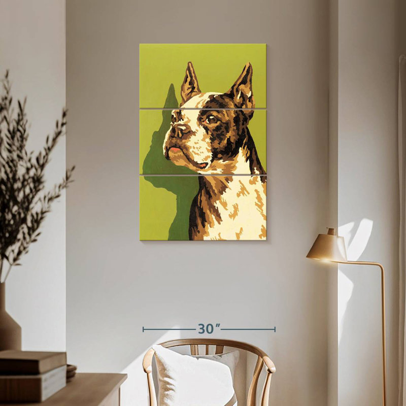Brampt Boston Terrier, H 57 po x l 36 po