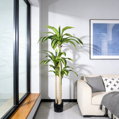 Arbre Dracaena artificiel 5 pi en pot noir pour décoration intérieure