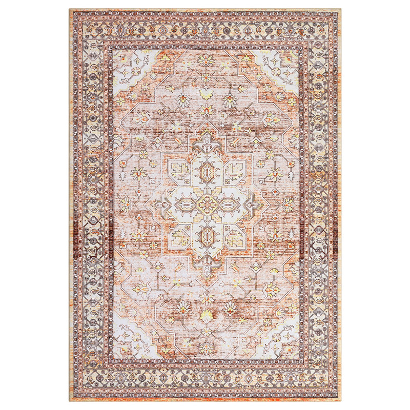 Living Room Rug 5x7 Washable Rug Vintage Oriental Tribal Area Rug Stain Resistant Carpet Non Slip Floor Cove RFor Bedroom Dining Room OfficeCoffee