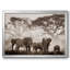 " Amboseli National Park "-95887317-95887318