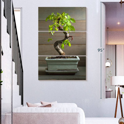 Harnek Bonsai Tree In A Pot