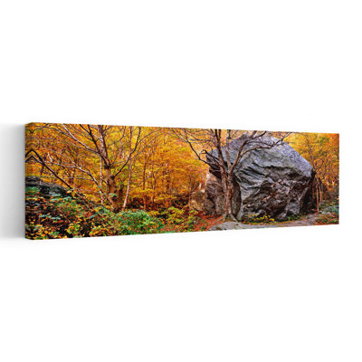 «Big Boulder In A Forest», Stowe, Lamoille County, Vermont, États-Unis, art contemporain de paysage forestier abstrait