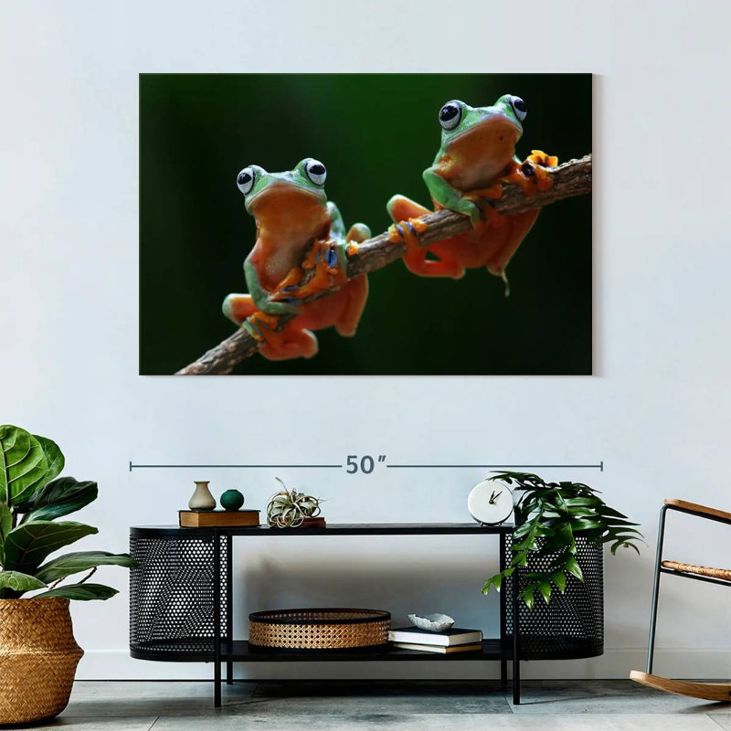 Two Wallace's Flying Frogs, 32" H x 48" W
