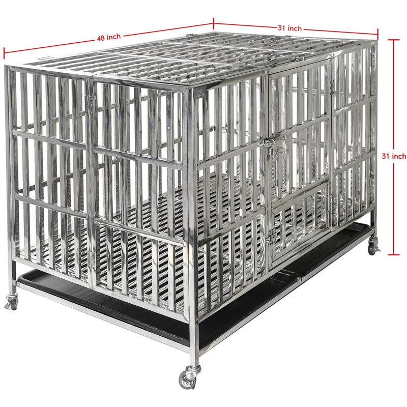 Cage pour chien en acier inoxydable Fasano, H 31 po x l 48 po x P 31 po
