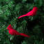 Paquet de 12 ornements d'oiseaux rouges