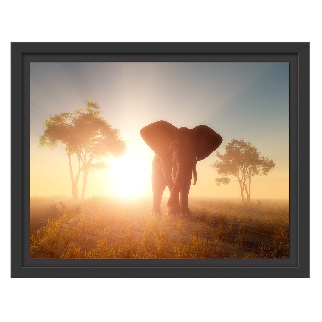 Elefant in der Wüste Floater Frame Graphic Art Print auf Papier