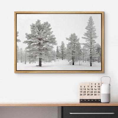 Givré hiver pin forêt sereine neige nature paysage Decor Illustration Art moderne photo