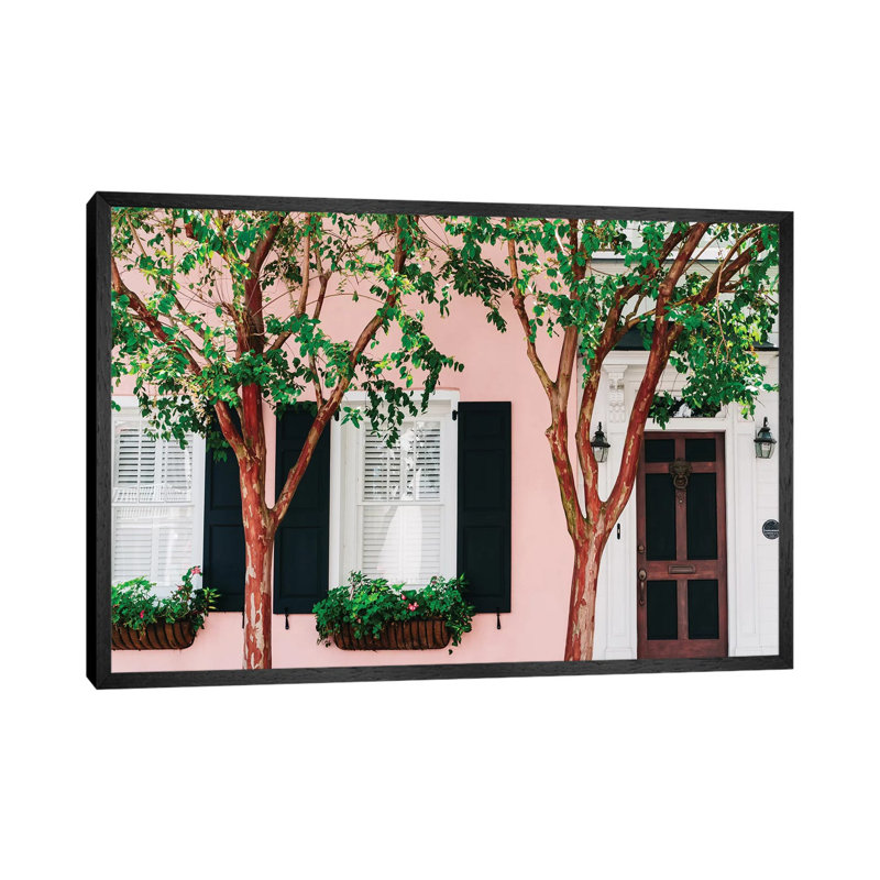 Charleston Pink XV by Bethany Young - Print on Canvas, Black Framed, 66.04cm H x 101.6cm W x 3.81cm D